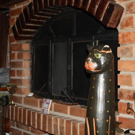 Guesthouse Silvani Kruševac Zewnętrze zdjęcie