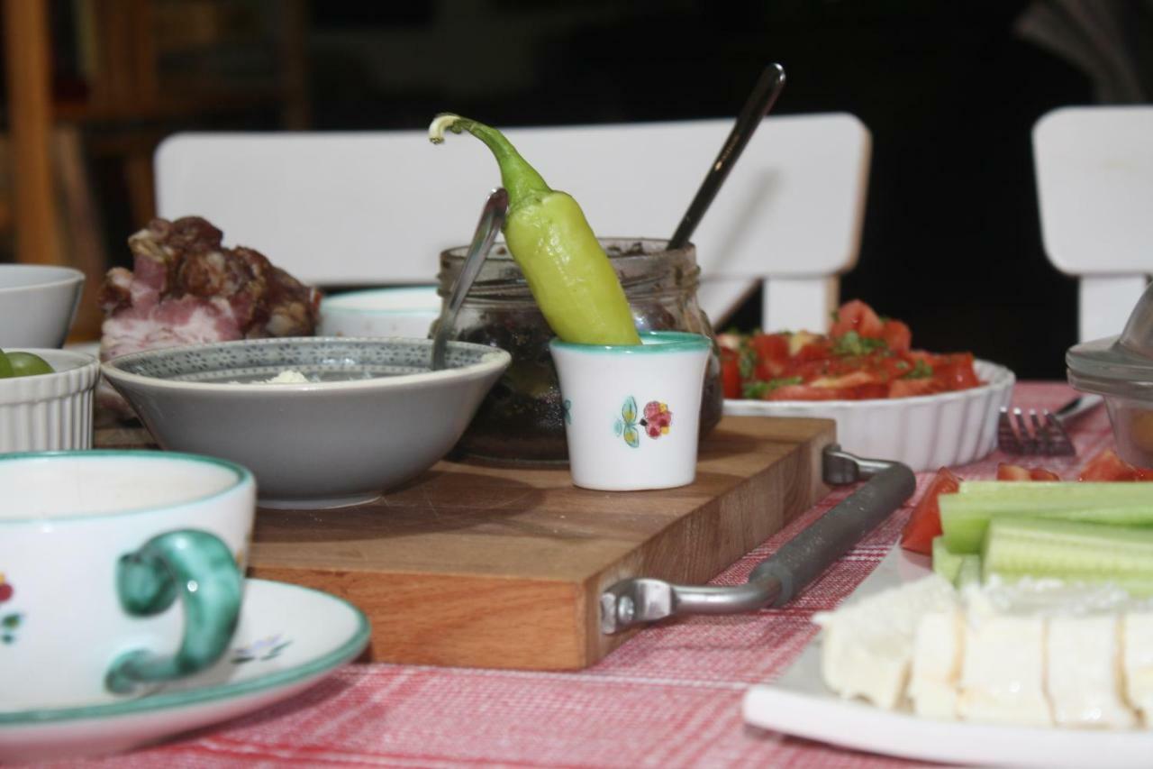 Guesthouse Silvani Kruševac Zewnętrze zdjęcie